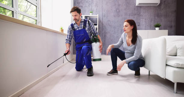 Best Pest Exclusion Services  in Safety Harbor, FL